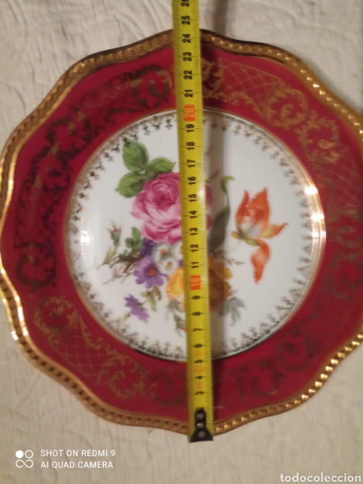 Antig&uuml;edades: Plato porcelana Limoges - Foto 2