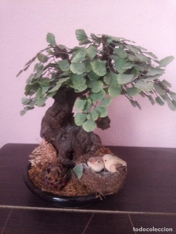 Antiguidades: Bonsai antiguo de madera