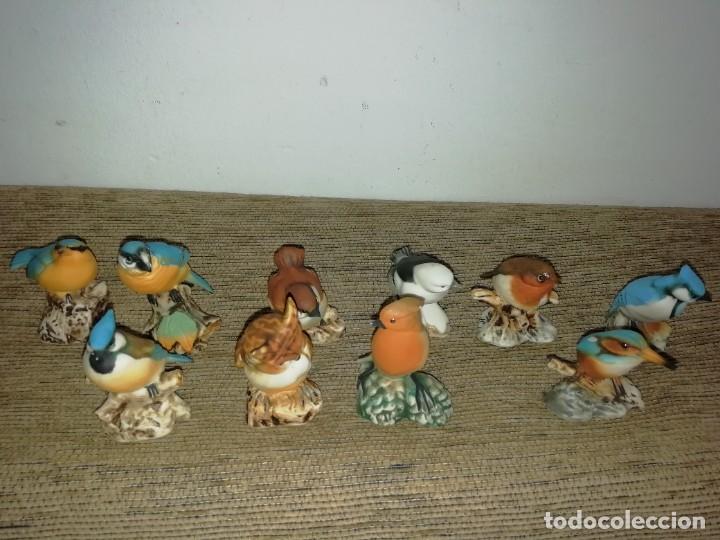 Antig&uuml;edades: 15 antiguas figuras de aves en biscuit