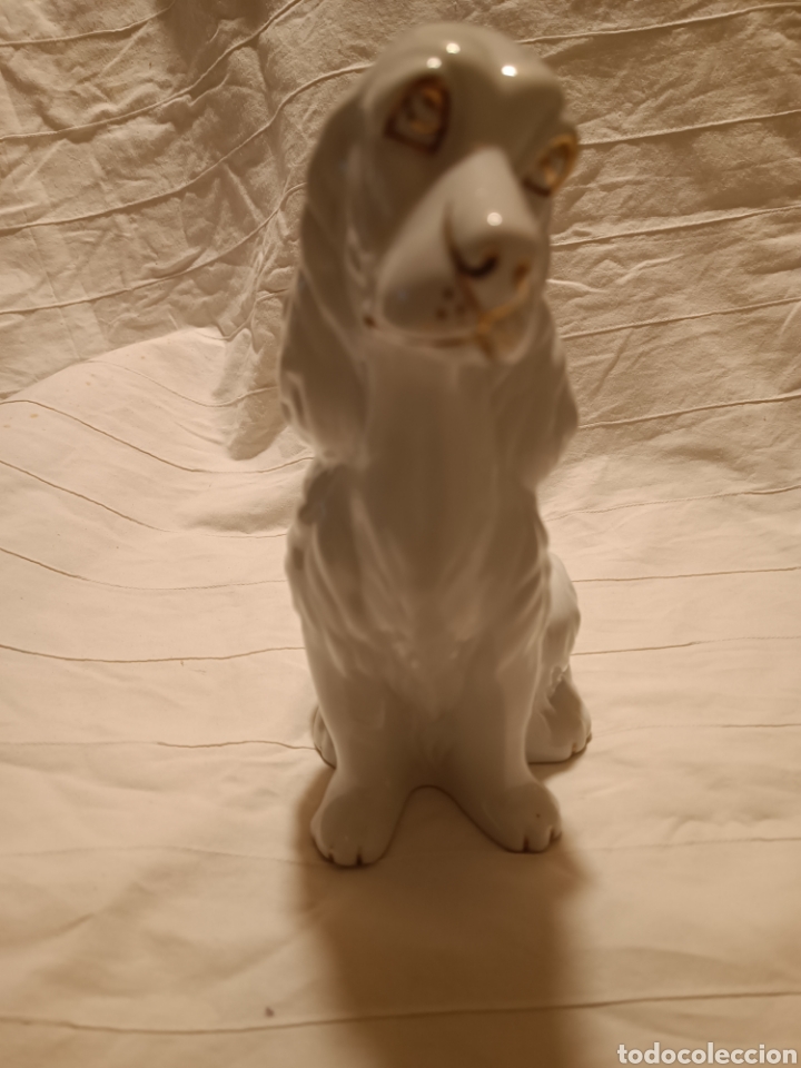 Antig&uuml;edades: Perro porcelana cocker - Foto 2