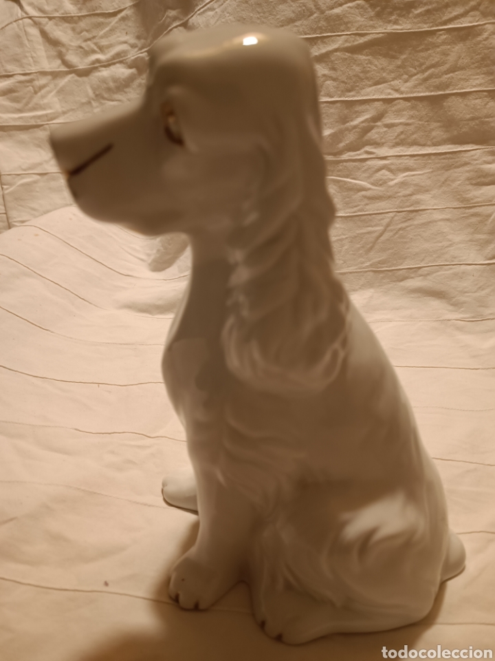 Antig&uuml;edades: Perro porcelana cocker - Foto 3