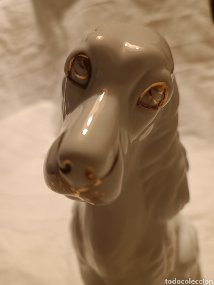Antig&uuml;edades: Perro porcelana cocker - Foto 1