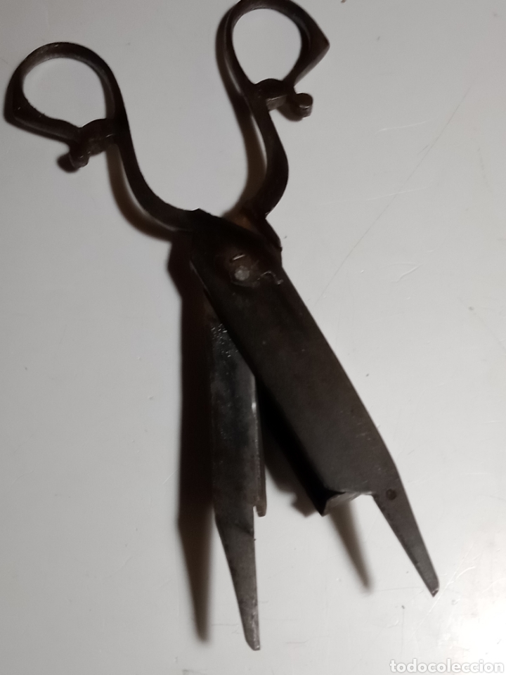 Antig&uuml;edades: Tijeras despabiladeras - Foto 4