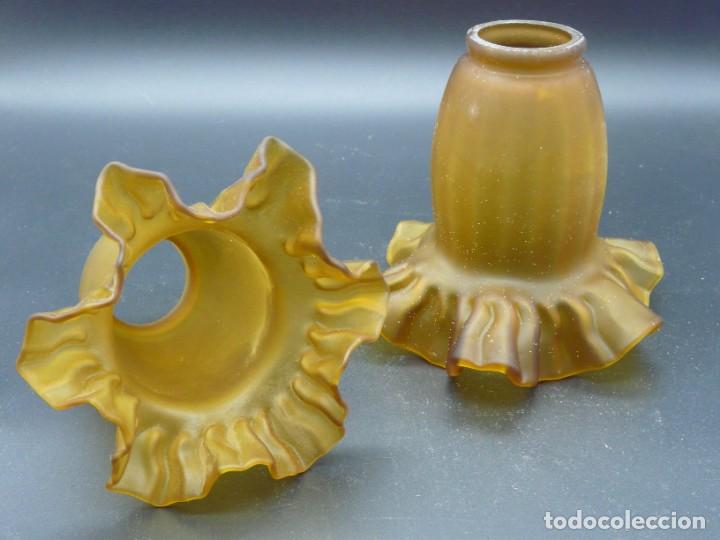 Antig&uuml;edades: TULIPA (2 UNIDADES) FLOR AMBAR CON GRAIPA - Foto 3