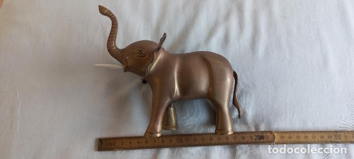Antig&uuml;edades: MAGNIFICA FIGURA ELEFANTE DE BRONCE. - Foto 6