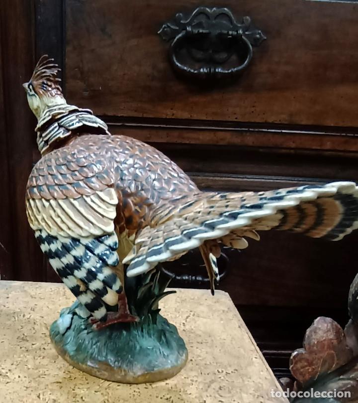 Antig&uuml;edades: *DIFICIL-UNICA* PERDIZ COLLARIN - LLADRO - CON CERTIFICADO - Foto 8