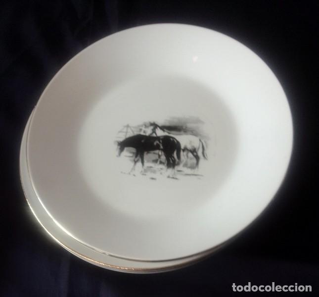 Antig&uuml;edades: platos Porcelanit Vigo - Foto 3