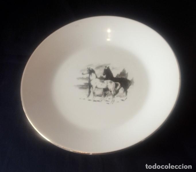 Antig&uuml;edades: platos Porcelanit Vigo - Foto 4