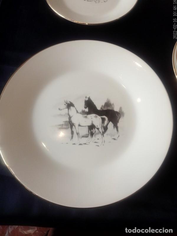 Antig&uuml;edades: platos Porcelanit Vigo - Foto 5