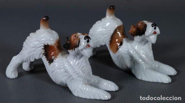 Oggetti Antichi: Pareja de perros en porcelana