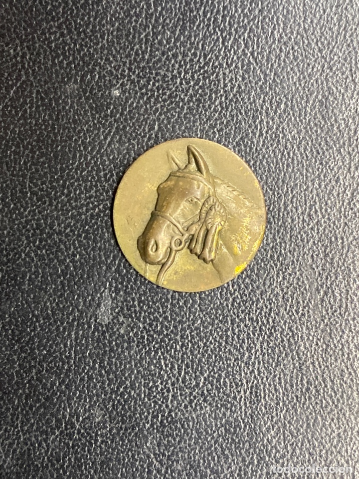 Antig&uuml;edades: ANTIGUA PLACA MEDALLA CABALLO - Foto 1