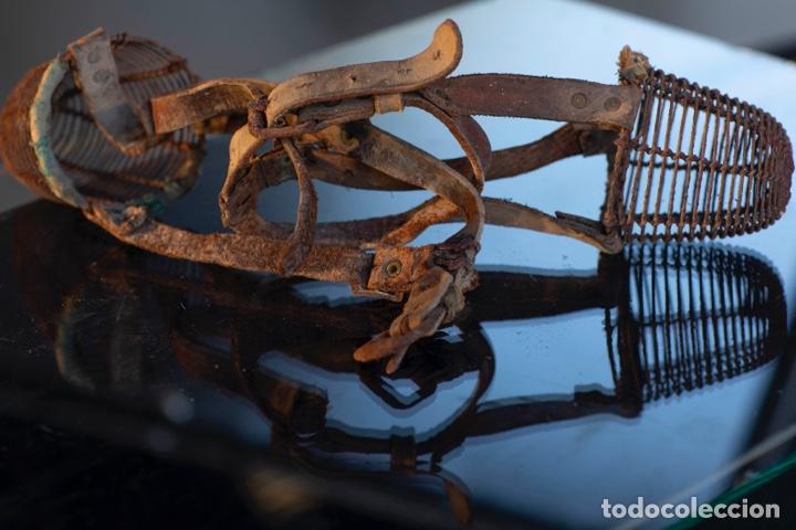 Antig&uuml;edades: Pareja bozales - Foto 6
