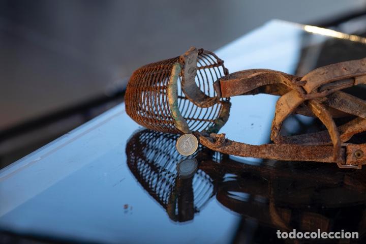 Antig&uuml;edades: Pareja bozales - Foto 8