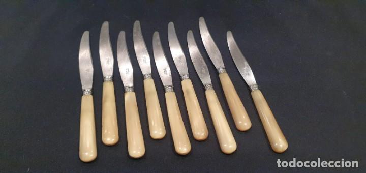 Antig&uuml;edades: 9 cuchillos antiguos entrante / postre mango asta - Foto 1
