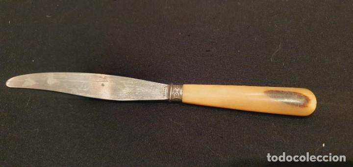 Antig&uuml;edades: 9 cuchillos antiguos entrante / postre mango asta - Foto 9