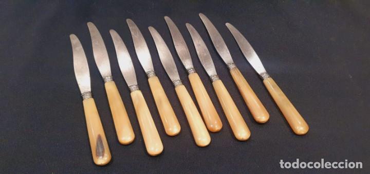 Antig&uuml;edades: 9 cuchillos antiguos entrante / postre mango asta - Foto 11