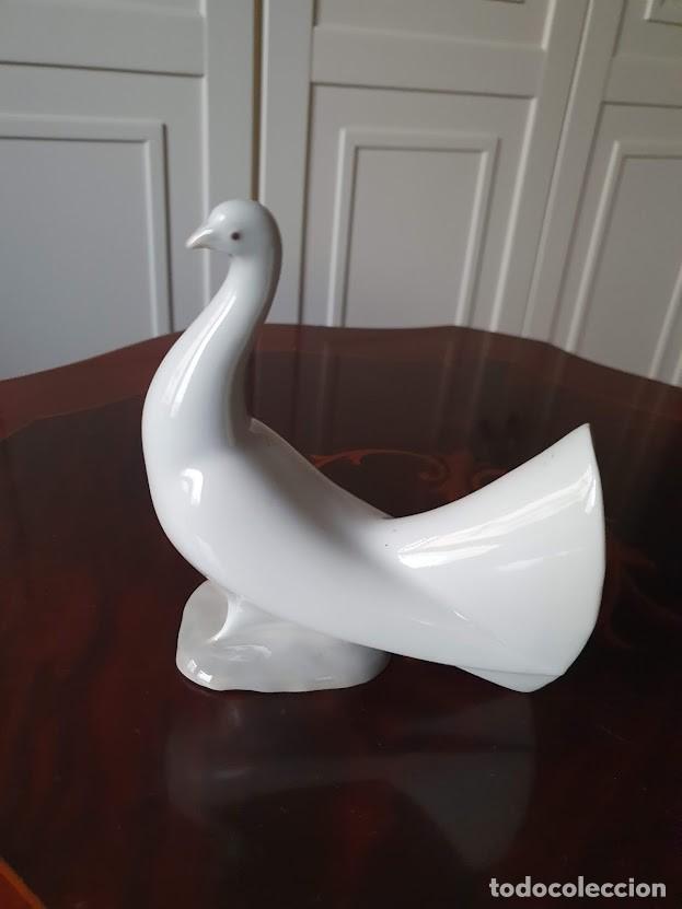 Antig&uuml;edades: PALOMA NAO LLADRO - Foto 1