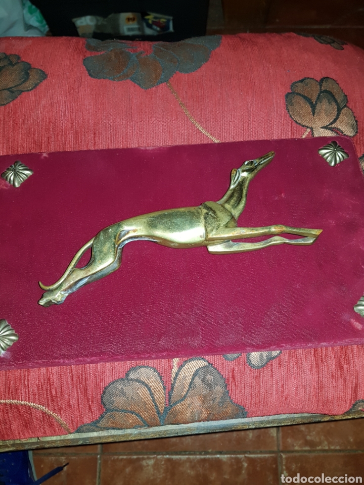 Antiques: ANTIGUO GALGO DE BRONCE DE FORD A&Ntilde;O 1930 EN EXPOSITOR