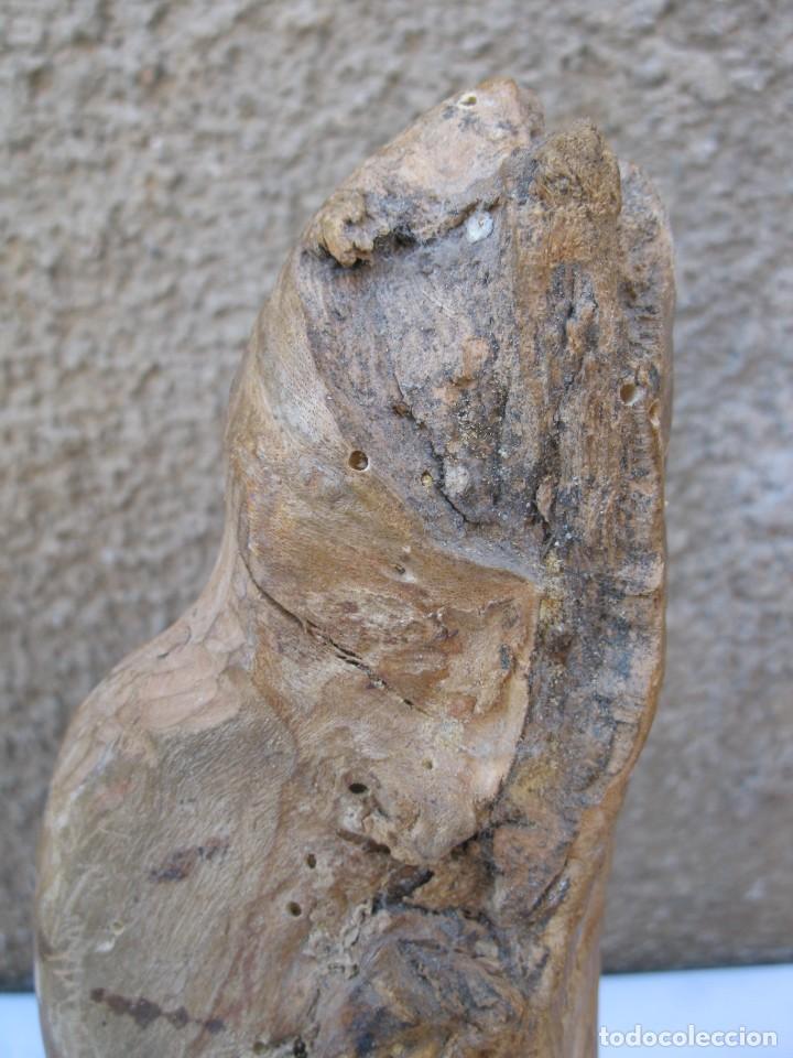 Antig&uuml;edades: FIGURA DE MADERA TALLADA EN UN TRONCO. - Foto 6