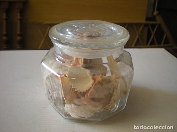 Oggetti Antichi: TARRO DE CRISTAL CON CONCHAS Y PIEDRAS MARINAS D12cm H11cm