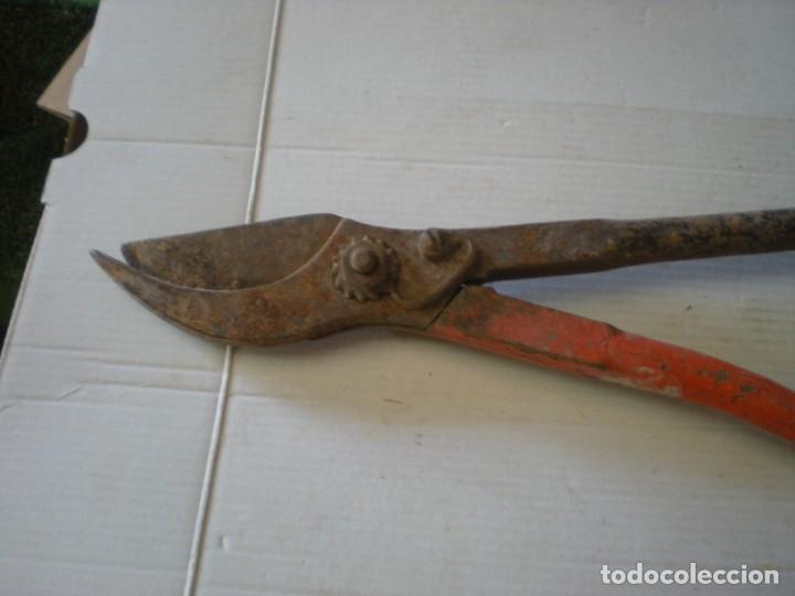 Antig&uuml;edades: TIJERAS DE PODAR DE COLECCION LT45cm - Foto 2