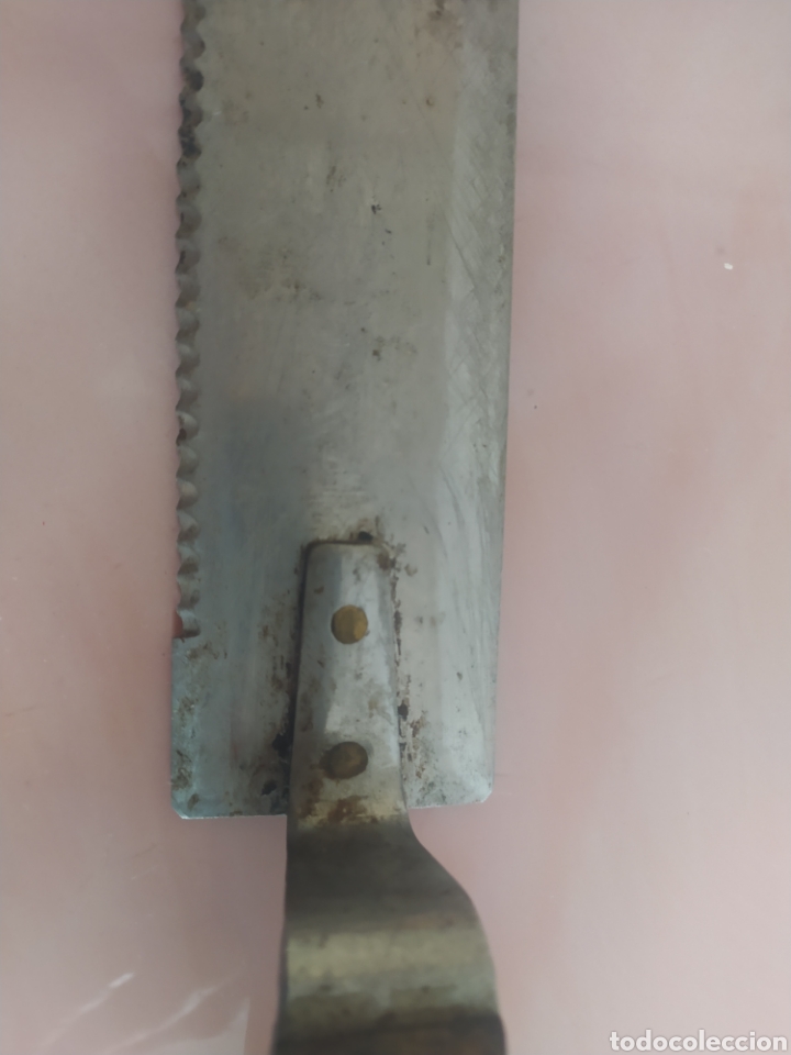 Antig&uuml;edades: Cuchillo desopercular apicultor - Foto 3