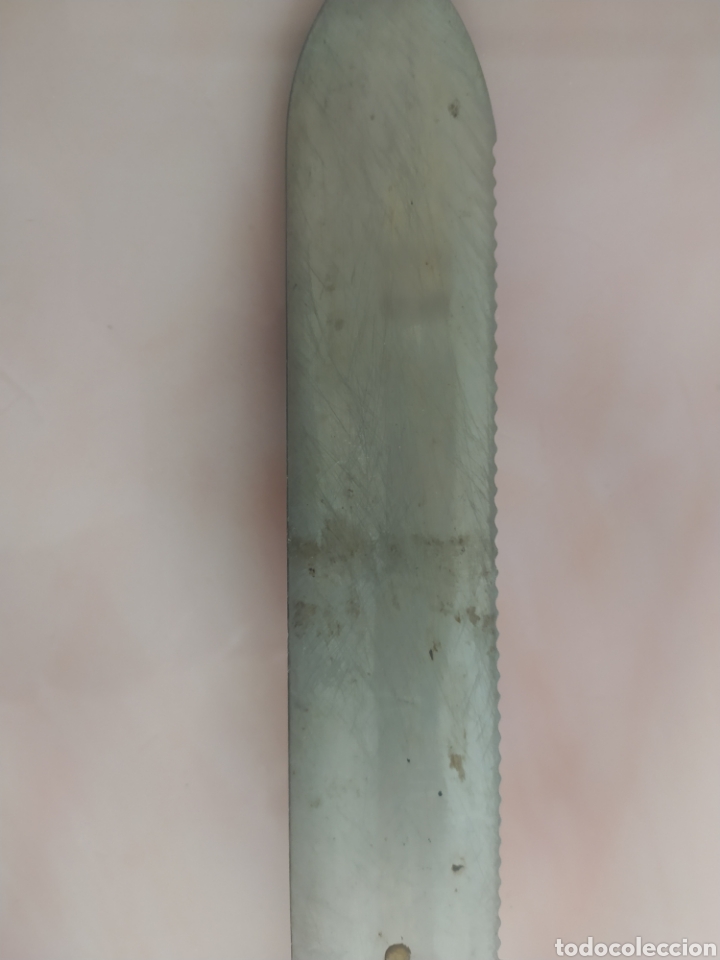 Antig&uuml;edades: Cuchillo desopercular apicultor - Foto 7