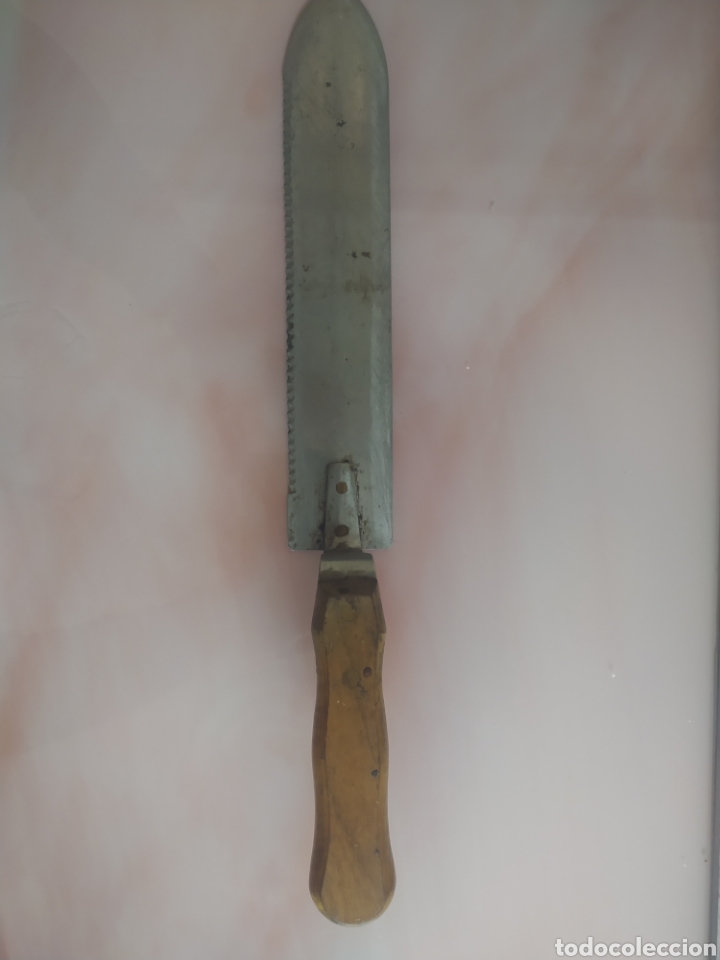 Antig&uuml;edades: Cuchillo desopercular apicultor - Foto 1