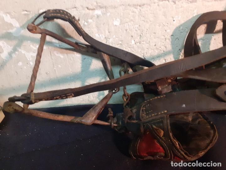 Antig&uuml;edades: Cabezada de caballo cuero - Foto 3