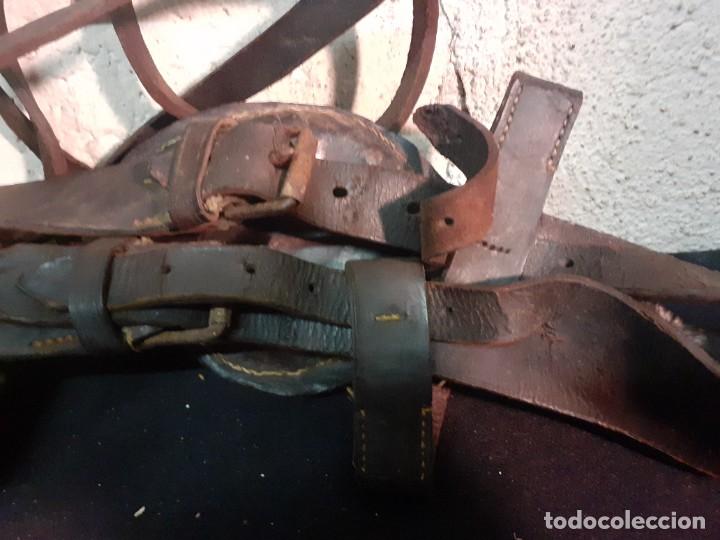 Antig&uuml;edades: Cabezada de caballo cuero - Foto 4