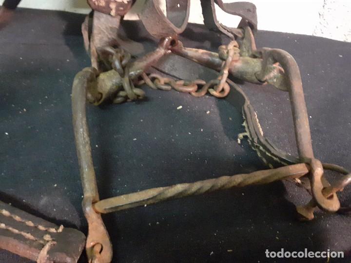 Antig&uuml;edades: Cabezada de caballo cuero - Foto 5