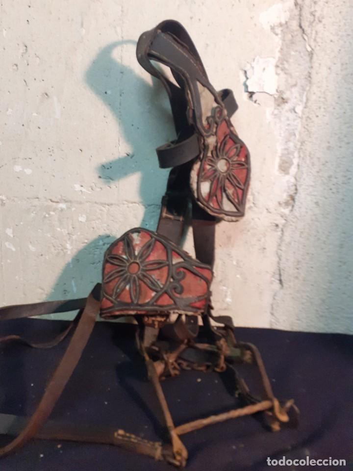Antig&uuml;edades: Cabezada de caballo cuero - Foto 6