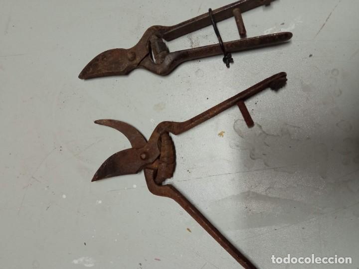 Antig&uuml;edades: Lote tijeras de podar - Foto 2