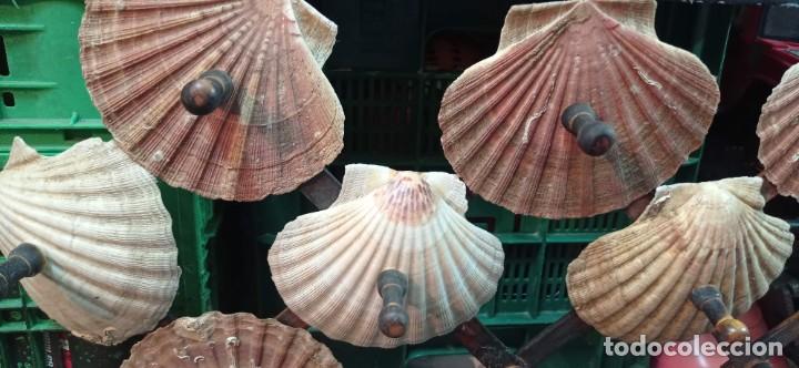 Antig&uuml;edades: PERCHERO ARTESANAL CON VIEIRAS 2 - Foto 3