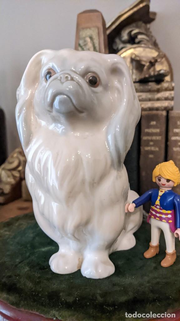 Antig&uuml;edades: PERRO PEQUIN&Eacute;S LLADRO - Foto 1
