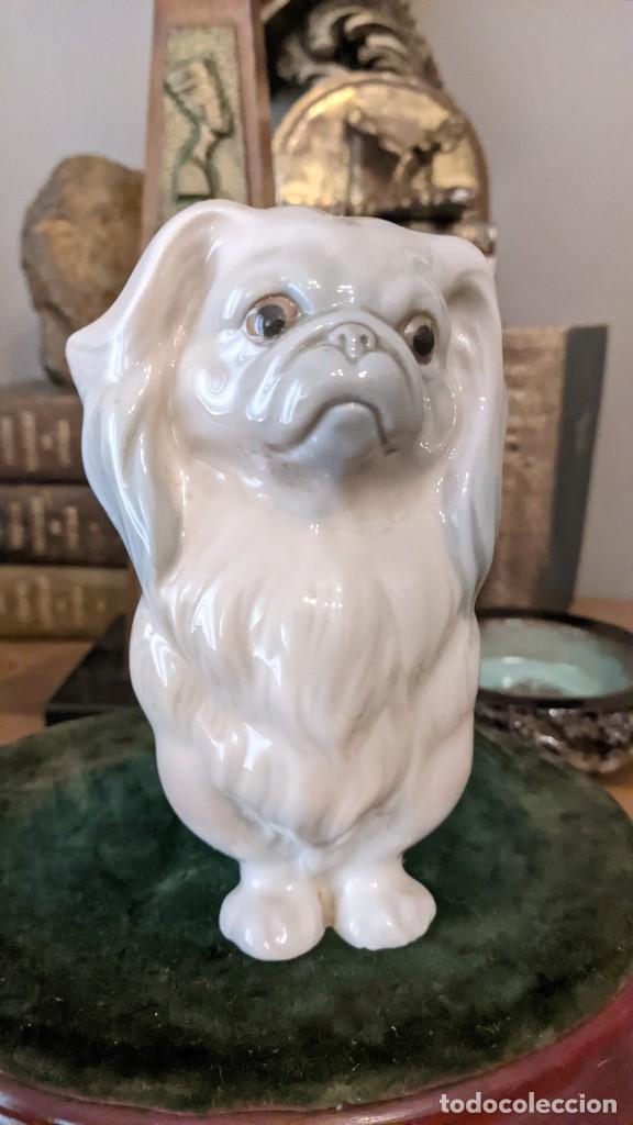 Antig&uuml;edades: PERRO PEQUIN&Eacute;S LLADRO - Foto 2