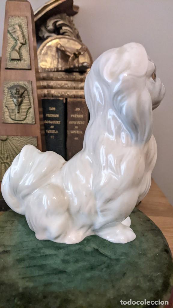 Antig&uuml;edades: PERRO PEQUIN&Eacute;S LLADRO - Foto 3