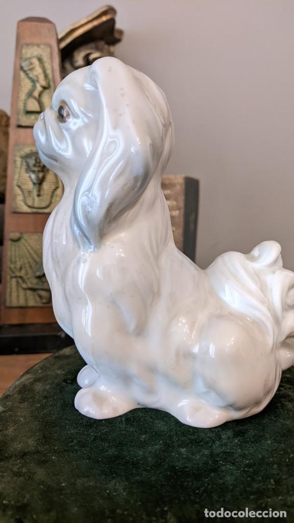 Antig&uuml;edades: PERRO PEQUIN&Eacute;S LLADRO - Foto 5