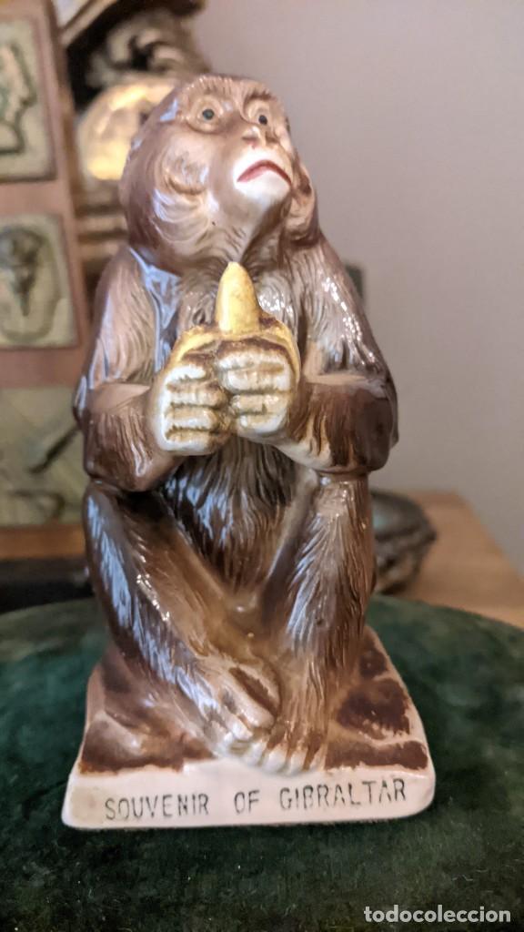 Antig&uuml;edades: FIGURA MONO MONA DE GIBRLARTAR - Foto 6