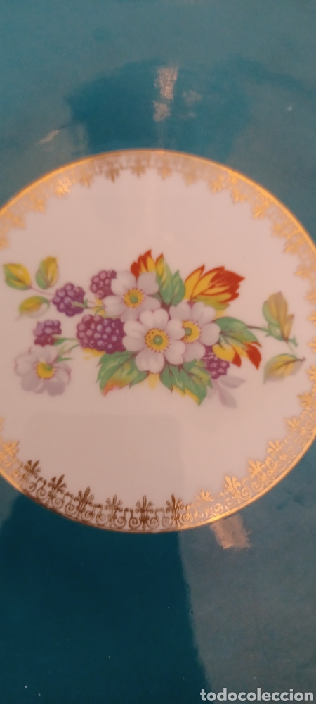 Antig&uuml;edades: Plato postre Windsor bone china - Foto 5