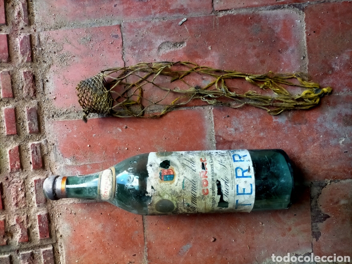 Antig&uuml;edades: Botella Co&ntilde;ac Terry - Foto 3