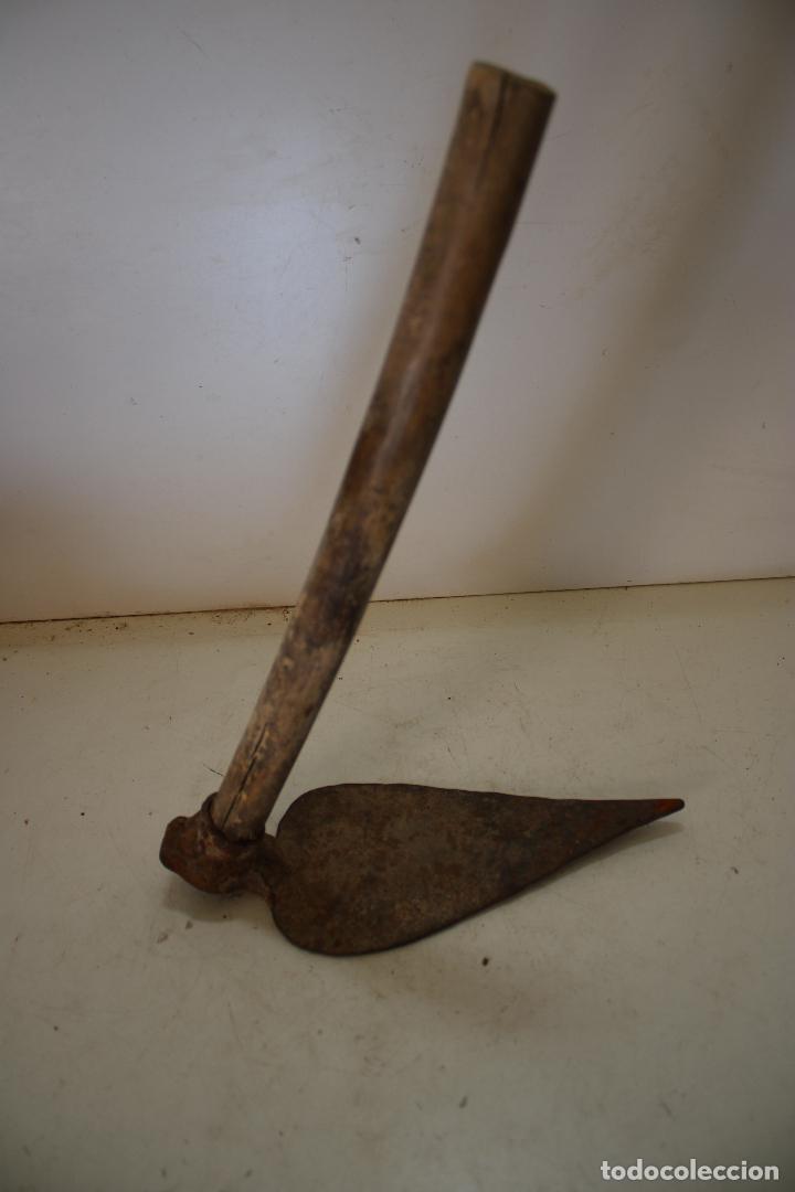 Antig&uuml;edades: antigua azada plantera - Foto 3