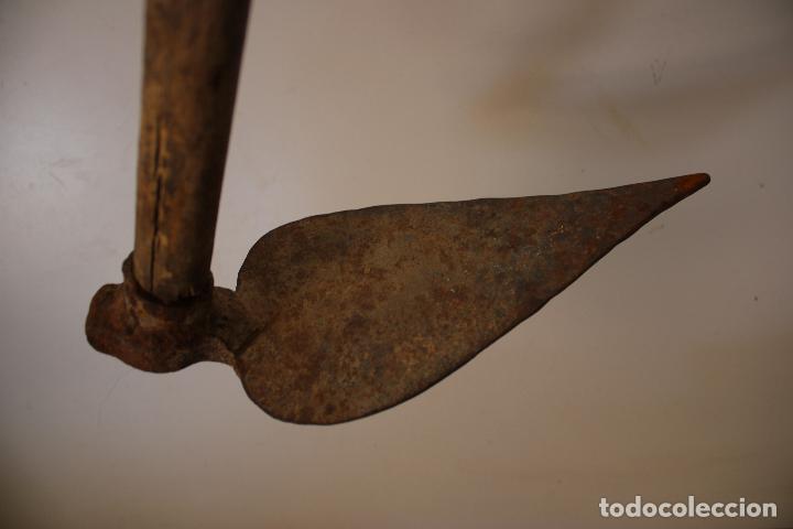 Antig&uuml;edades: antigua azada plantera - Foto 4