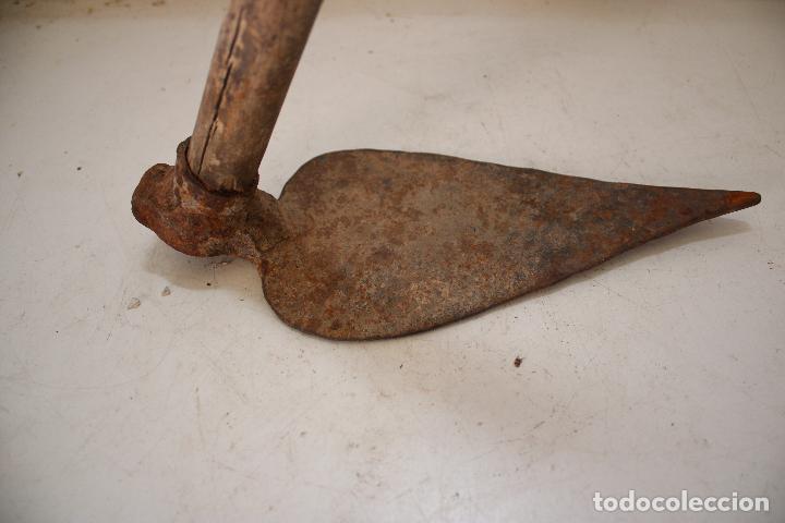 Antig&uuml;edades: antigua azada plantera - Foto 1