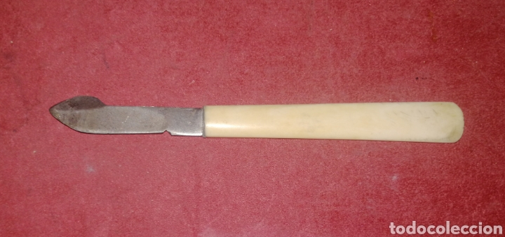 Antig&uuml;edades: ANTIGUO DESGRAPADOR. MANGO DE HUESO. EL ENVIO ESTA INCLUIDO.