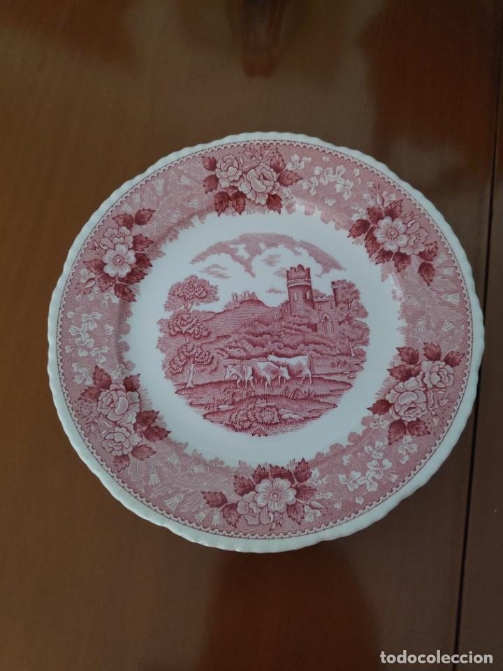 Antig&uuml;edades: Plato Cer&aacute;mica Inglesa - Foto 1