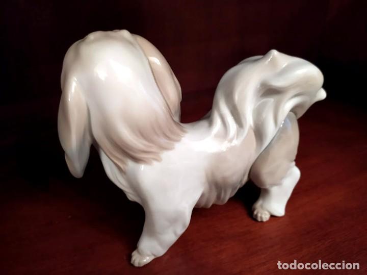 Antig&uuml;edades: PERRO LLADRO MOSTACHOS BRILLO - Foto 3