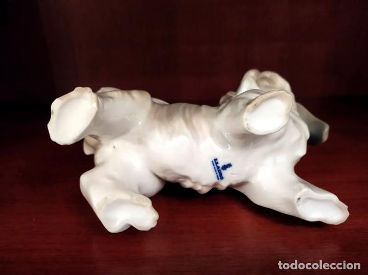 Antig&uuml;edades: PERRO LLADRO MOSTACHOS BRILLO - Foto 4