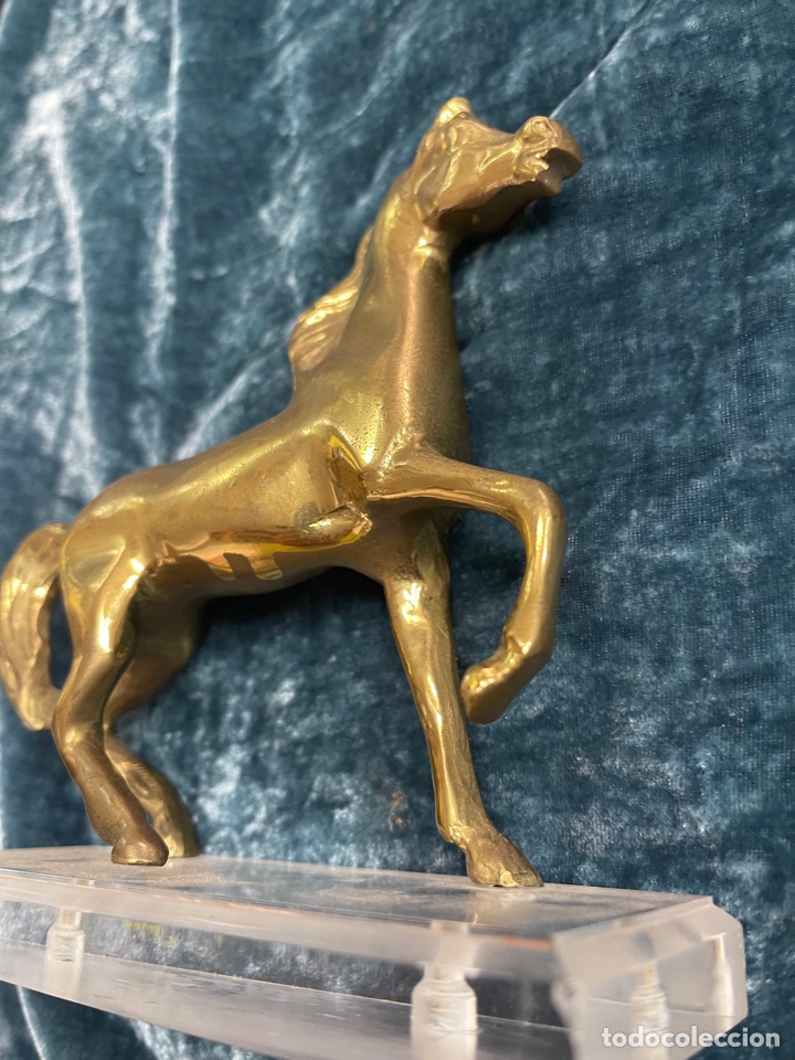 Antig&uuml;edades: figura de caballo bronce - Foto 1