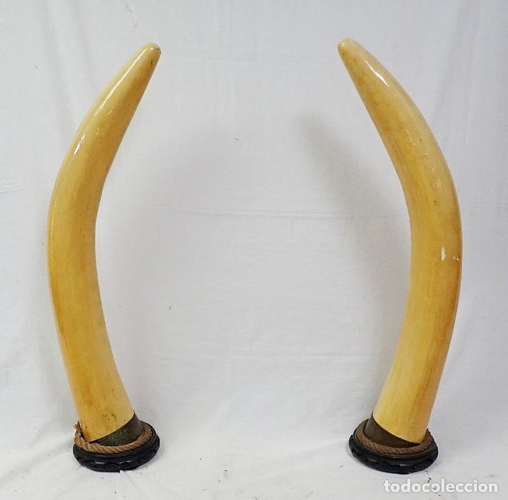 Oggetti Antichi: Pareja de colmillos imitaci&oacute;n
